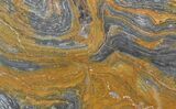 Polished, Mesoproterozoic Stromatolite (Conophyton) - Australia #65047-1